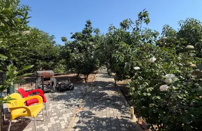 5+1 VIP Sea View Villa on 3,000 sqm Plot near Alanya Marina