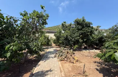 5+1 VIP Sea View Villa on 3,000 sqm Plot near Alanya Marina