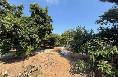 5+1 VIP Sea View Villa on 3,000 sqm Plot near Alanya Marina